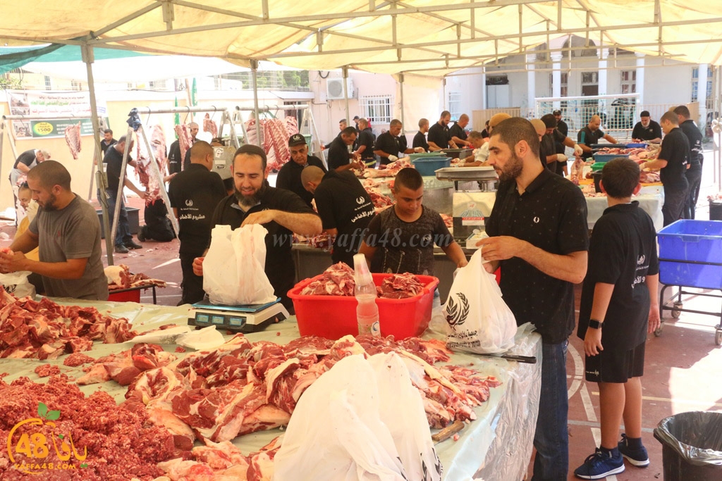 ada7y forthei (5).JPG